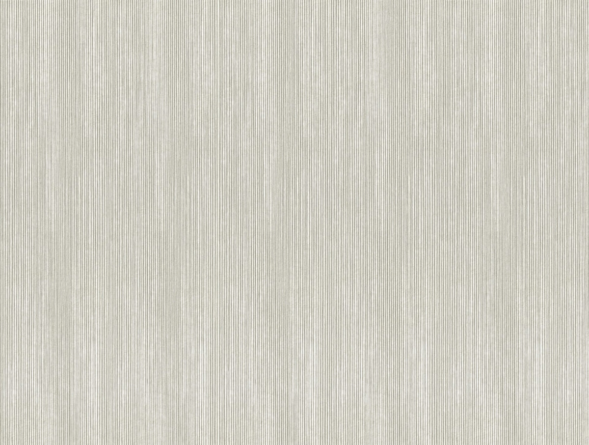 BAMBOO IN THE BUSH