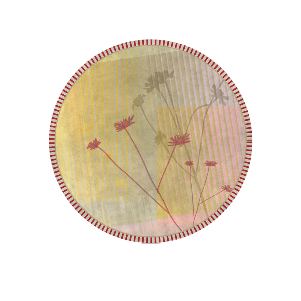CARPETS