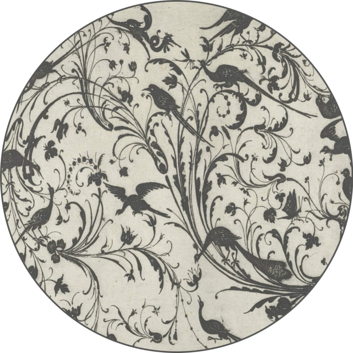PARADISE brengt vogels en botanische details samen in een kunstzinnig carpet